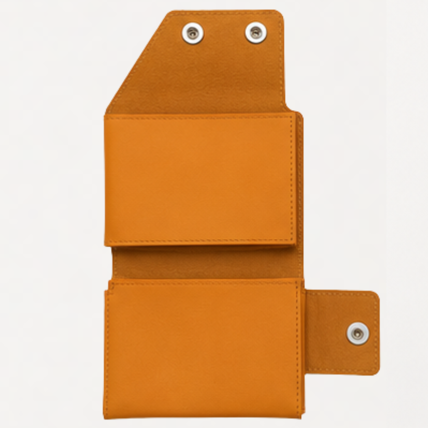 MultiPass Wallet (Golden Passage)